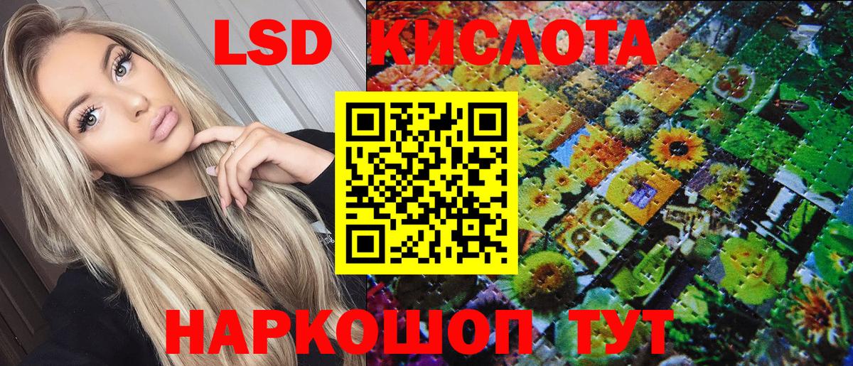 купить наркотики цена  Наркотические марки 1,8мг  Вход с VPN  Губаха 